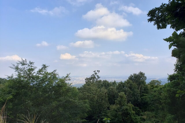 高尾山でハイキング｜初心者でも気軽に東京で登山が楽しめます