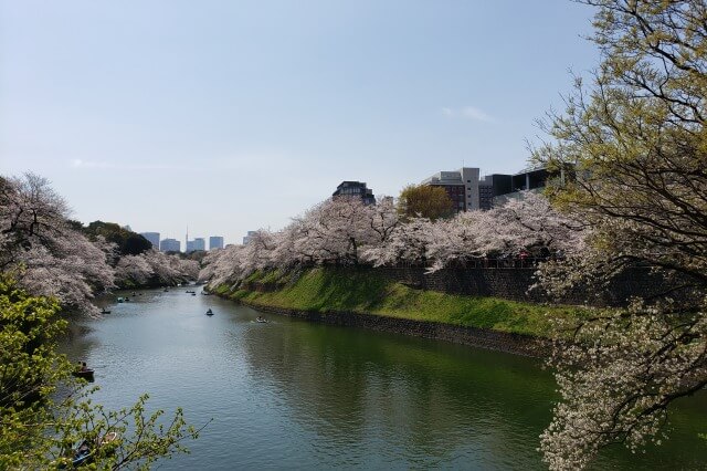 千鳥ヶ淵の桜を見るルート｜九段下～半蔵門、北の丸公園や靖国神社も