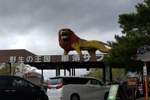 雨の日の那須サファリパーク｜天気が悪い日はどうすればいいの？