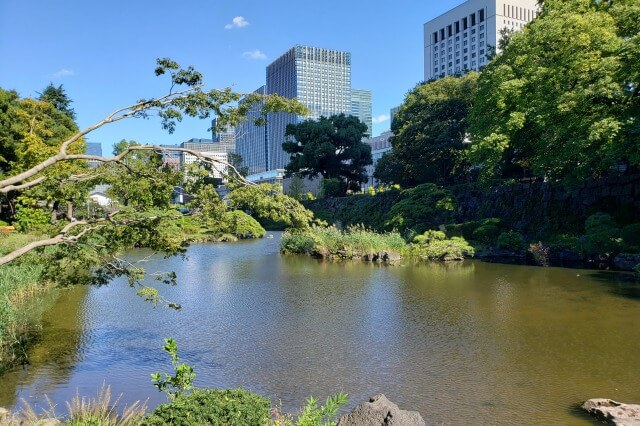 日比谷公園の２つの池｜心字池と雲形池の周りをのんびり散歩しました