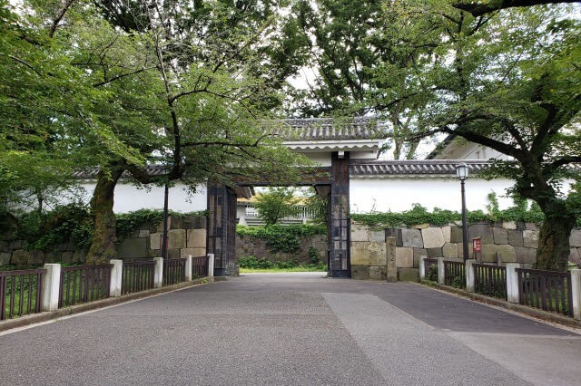 北の丸公園の見どころを紹介｜皇居近くの緑豊かで静かな公園です