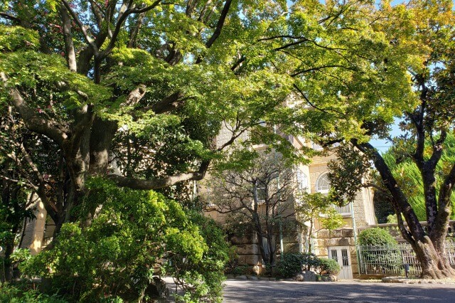 鳩山会館へのアクセス(行き方)