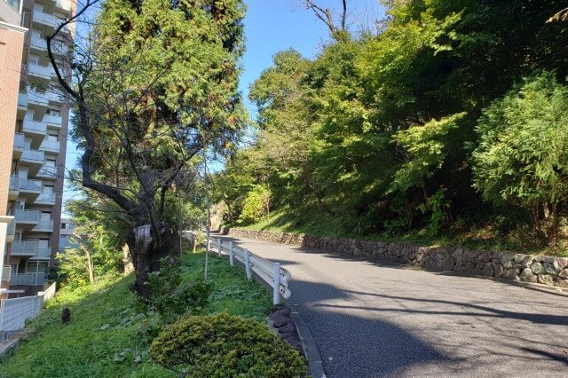 鳩山会館へのアクセス(行き方)｜鳩山会館入口の門から鳩山会館まで