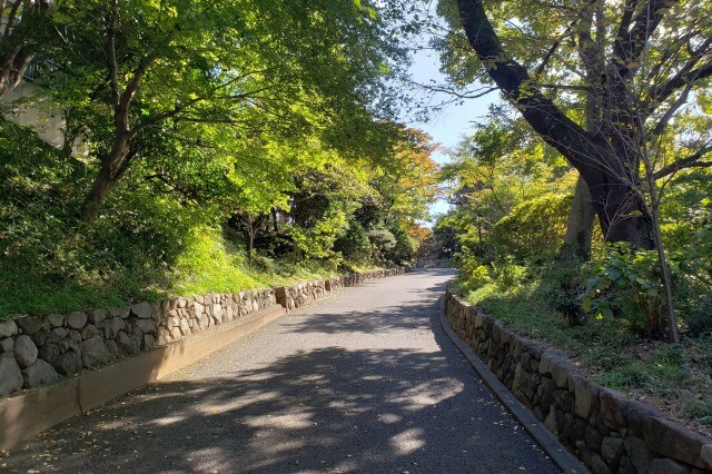 鳩山会館へのアクセス(行き方)｜鳩山会館入口の門から鳩山会館まで