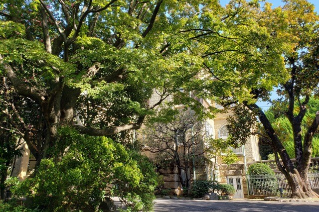 鳩山会館へのアクセス(行き方)｜鳩山会館入口の門から鳩山会館まで