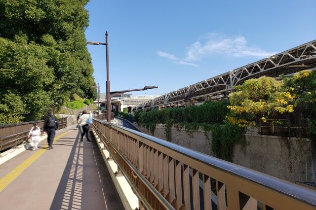 上野動物園へのアクセス｜上野駅から表門への行き方は？