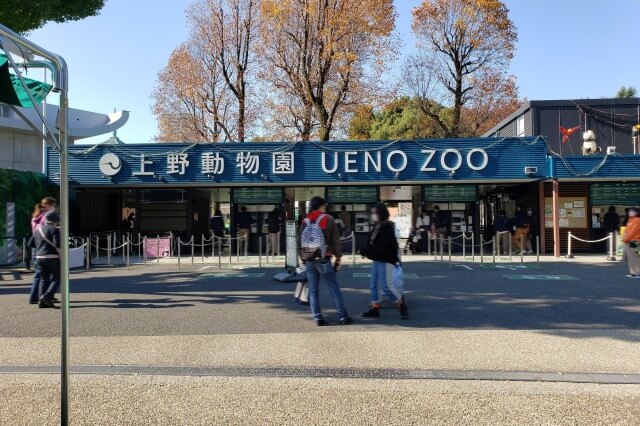 上野動物園へのアクセス｜上野駅から表門への行き方は？