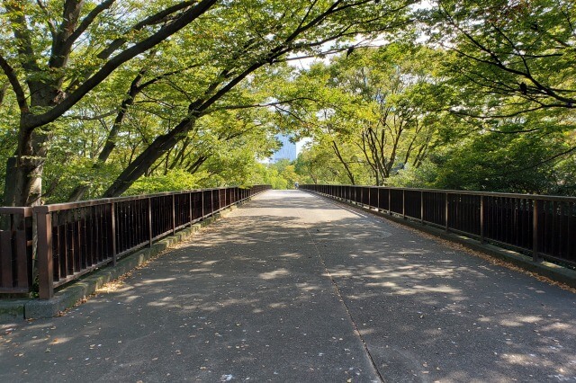 代々木公園入口へのアクセス｜渋谷門