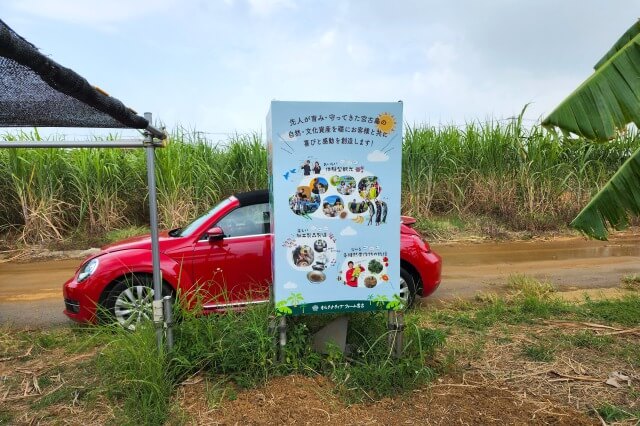 オルタナティブファーム宮古の駐車場