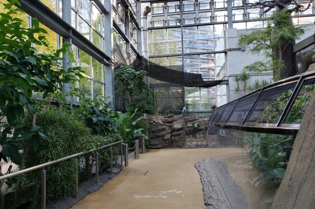 上野動物園の両生類や爬虫類(両生爬虫類館)