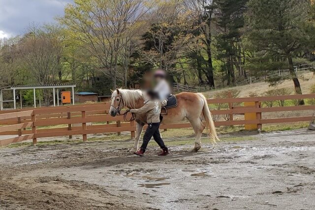 那須どうぶつ王国の王国ファーム【ライドパーク】で出会える動物