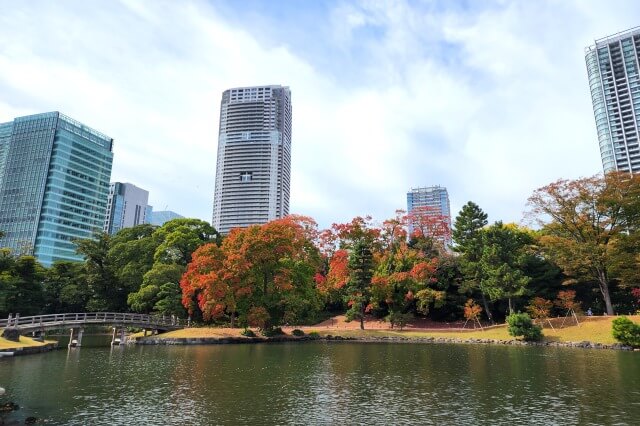 潮入りの池周辺の紅葉