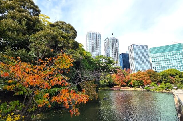 潮入りの池周辺の紅葉