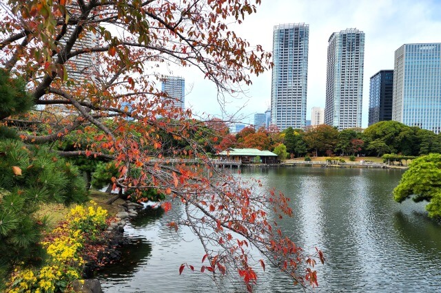 潮入りの池周辺の紅葉