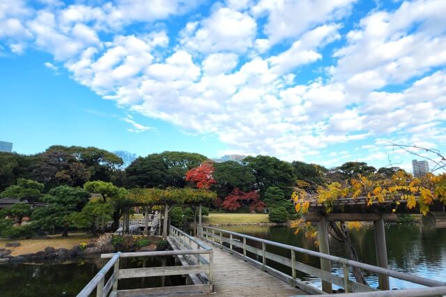 潮入の池｜お伝い橋から見る紅葉