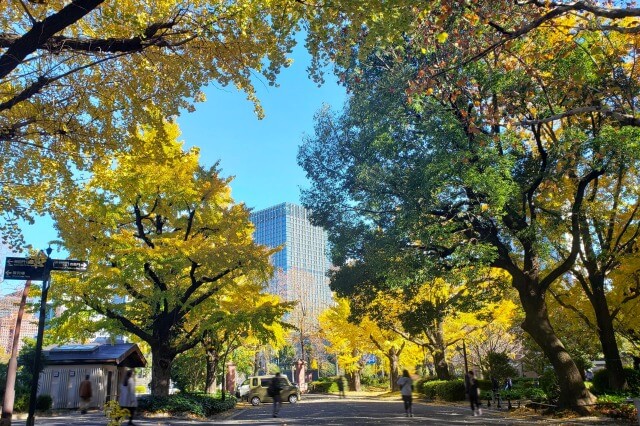 日比谷公園の紅葉