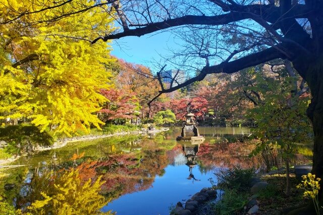 雲形池の鶴の噴水のイチョウやもみじ