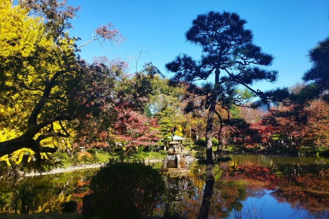 雲形池の鶴の噴水のイチョウやもみじ