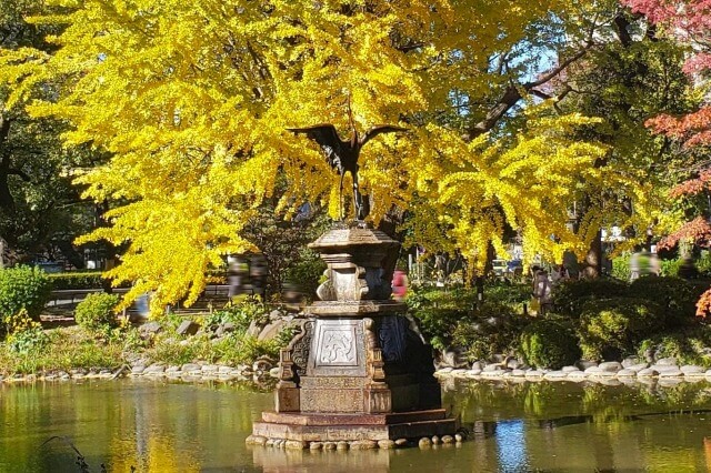 雲形池の鶴の噴水のイチョウやもみじ