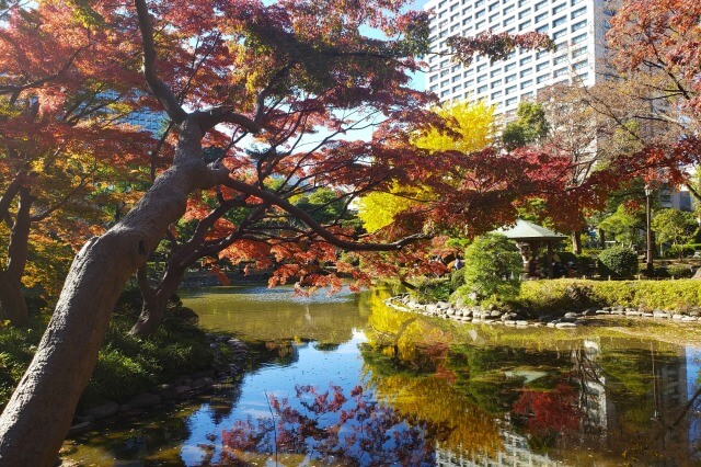 雲形池の鶴の噴水のイチョウやもみじ