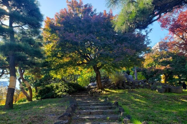 三笠山周辺のもみじ