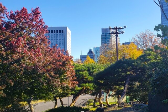 三笠山周辺のもみじ