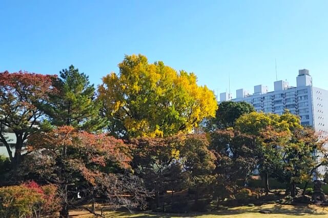 2階のバルコニーから見える紅葉