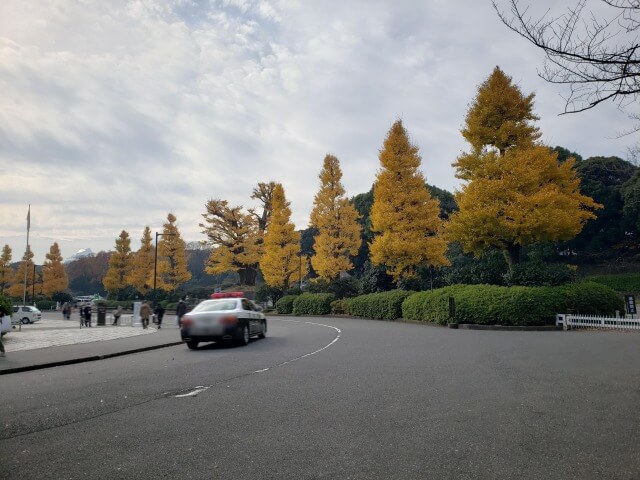 北の丸公園の紅葉の見どころ｜田安門周辺のもみじやイチョウ並木