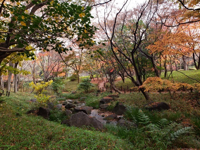 北の丸公園の紅葉の見どころ｜もみじ山周辺の川の景色