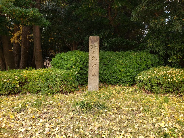 北の丸公園の紅葉の見どころ｜代官町通り沿いのイチョウ