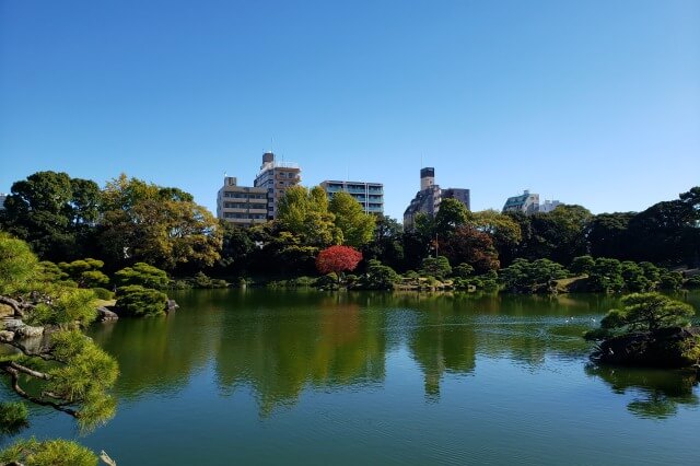 清澄庭園の紅葉の見所｜中の島の真っ赤なハゼノキ