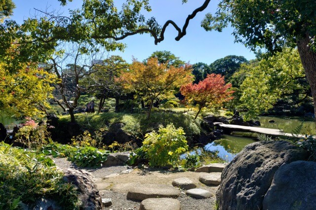 清澄庭園の紅葉の見所｜石橋周辺のもみじとハゼノキ