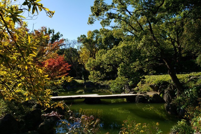 清澄庭園の紅葉の見所｜石橋周辺のもみじとハゼノキ