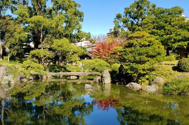 清澄庭園の紅葉の見所｜石橋周辺のもみじとハゼノキ