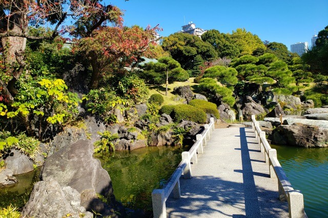 清澄庭園の紅葉の見所｜石橋周辺のもみじとハゼノキ