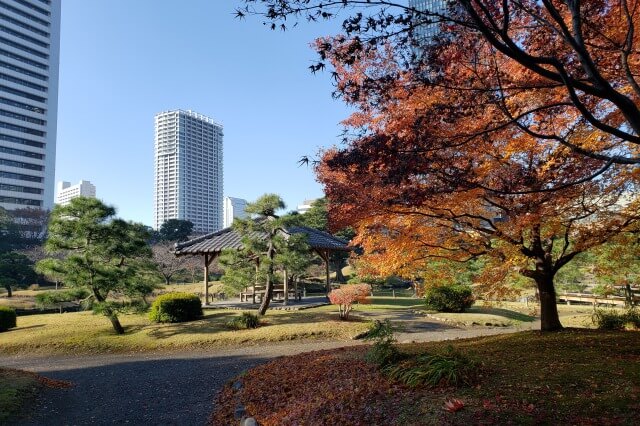 旧芝離宮恩賜庭園の紅葉