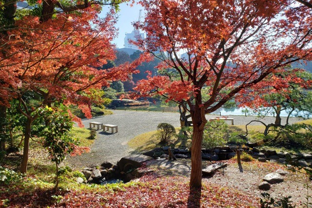 旧芝離宮恩賜庭園の紅葉の見どころ｜小池周辺のもみじ