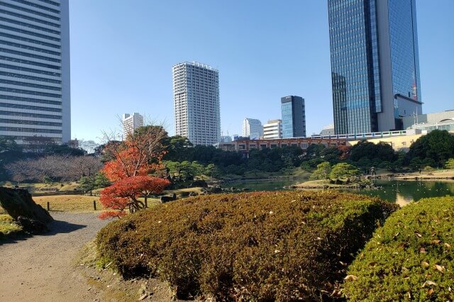 旧芝離宮恩賜庭園の紅葉の見どころ｜滝石組周辺のハゼノキ