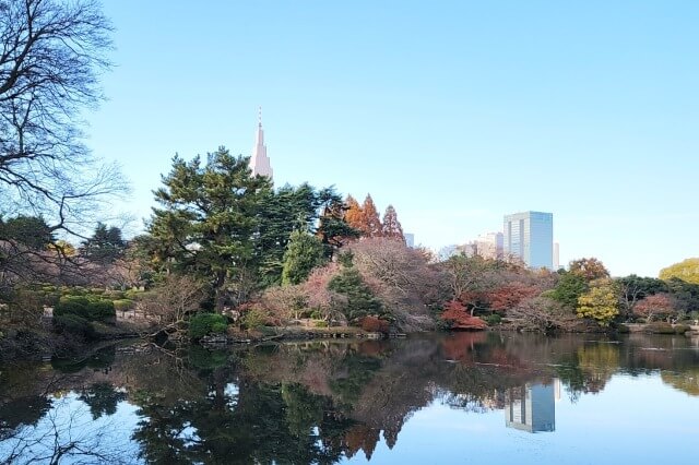 中の池周辺のモミジ