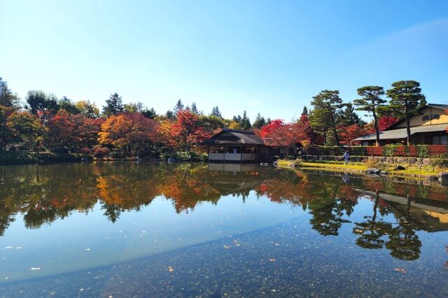 昭和記念公園｜日本庭園のもみじ