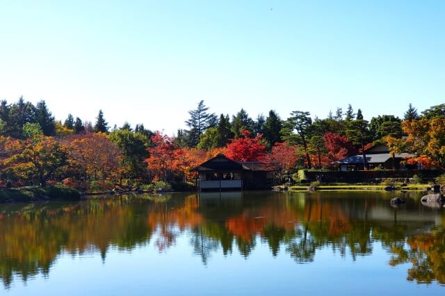 昭和記念公園の日本庭園の紅葉