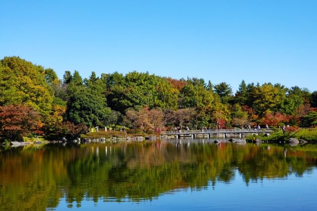 昭和記念公園の日本庭園の紅葉｜清池軒の前の真っ赤なもみじは必見