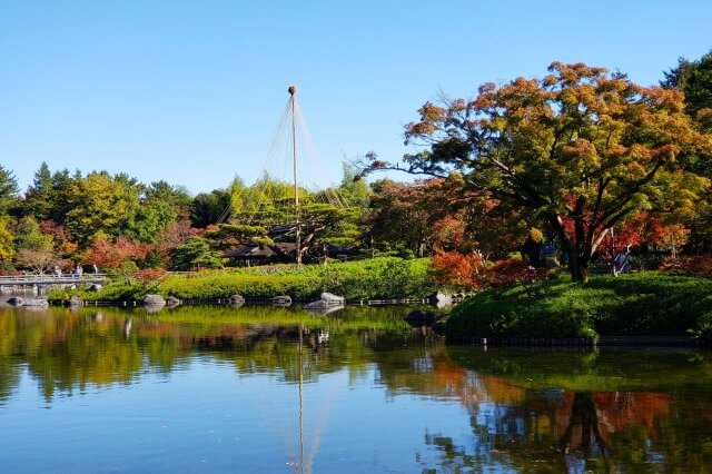 昭和記念公園の日本庭園の紅葉｜清池軒の前の真っ赤なもみじは必見