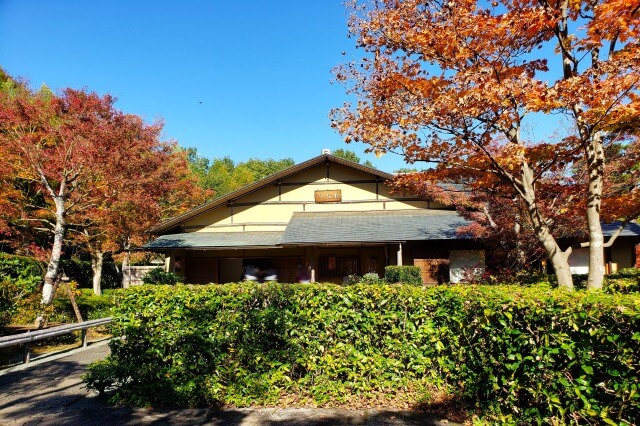 昭和記念公園の日本庭園の紅葉｜歓楓亭周辺は赤とオレンジ色