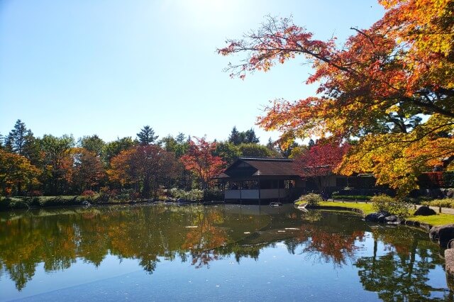 昭和記念公園の日本庭園の紅葉｜滝・北の流れ周辺はオレンジと黄色