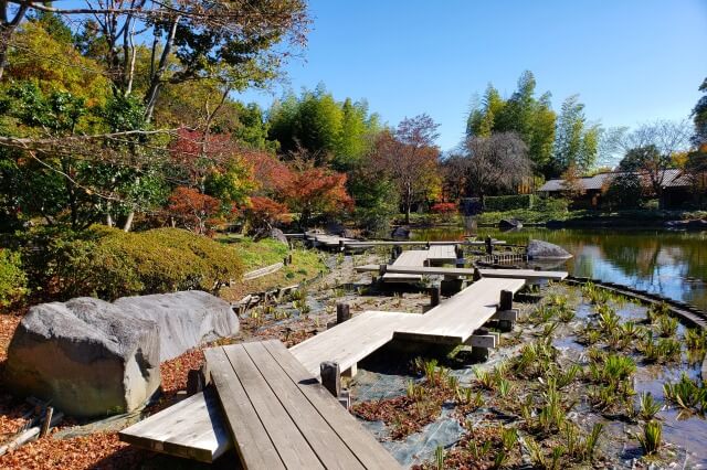 昭和記念公園の日本庭園の紅葉｜東の流れ周辺