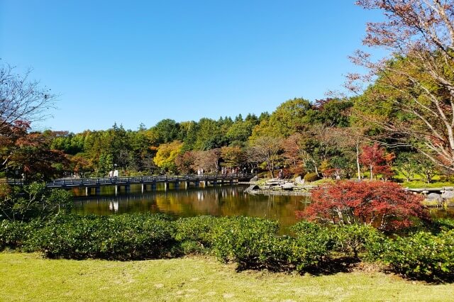 昭和記念公園の日本庭園の紅葉｜橋と橋から見る景色