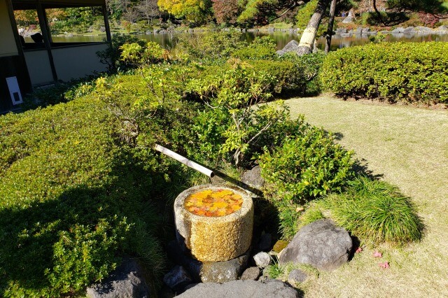 昭和記念公園の日本庭園の紅葉｜昌陽の水面に浮かぶもみじが素敵