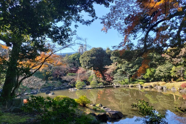 旧古河庭園の紅葉