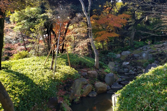 旧古河庭園の紅葉の見どころ｜渓谷周辺のもみじ